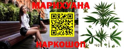 гидропоника Кингисепп