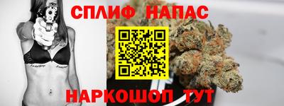 гидропоника Кингисепп