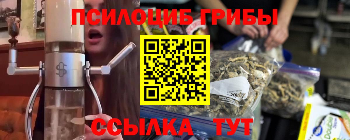 Костомукша  Галлюциногенные грибы Psilocybine cubensis  Вход с VPN  Псилоцибиновые грибы GOLDEN TEACHER 
