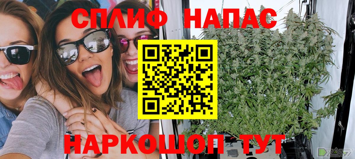 Каннабис MAZAR  Вход с VPN  МАРИХУАНА SATIVA & INDICA  Костомукша  Конопля OG Kush 